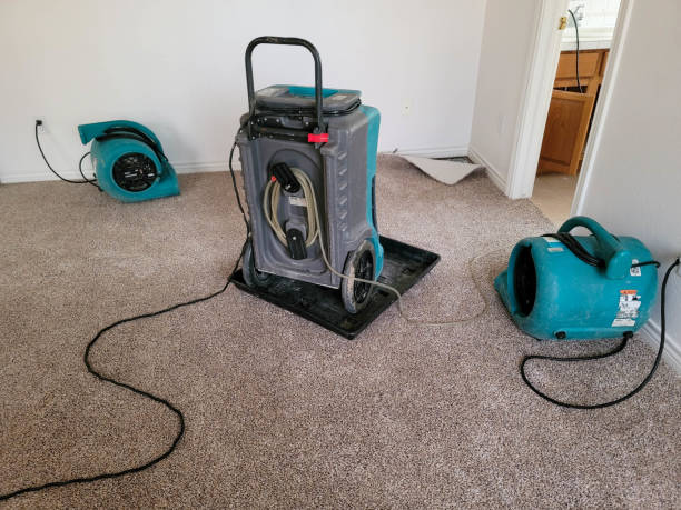 Best Commercial water damage restoration  in Sulphur Springs, TX