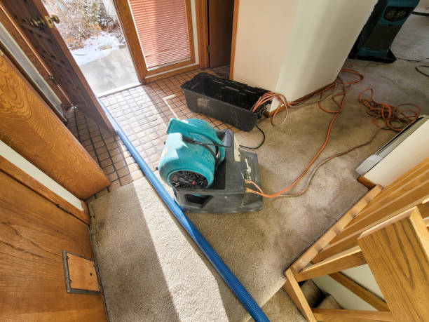 Best Commercial water damage restoration  in Sulphur Springs, TX