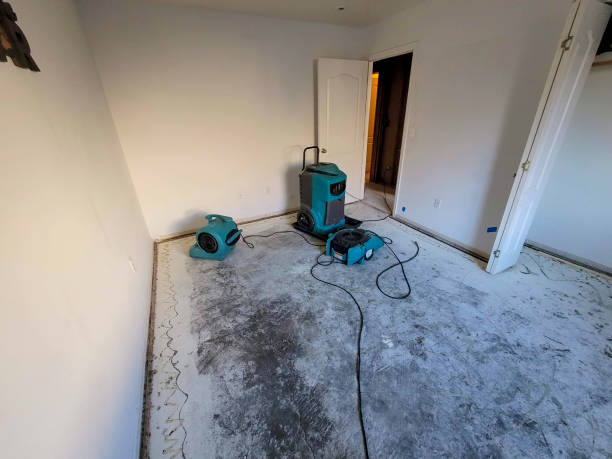 Best Flood restoration services  in Sulphur Springs, TX